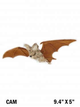 Bat, Small, Wall Hanging